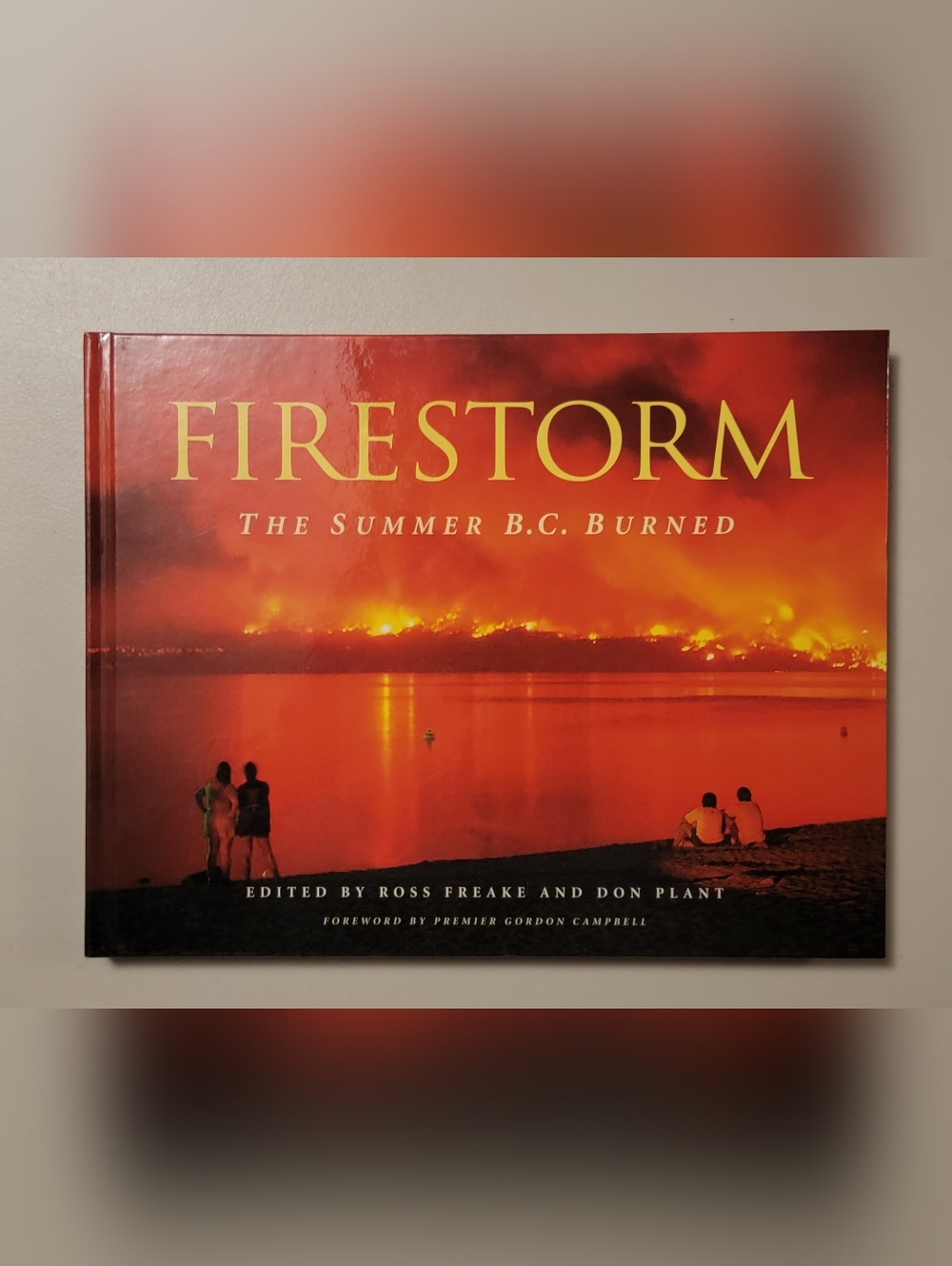FIRESTORM The Summer BC Burned